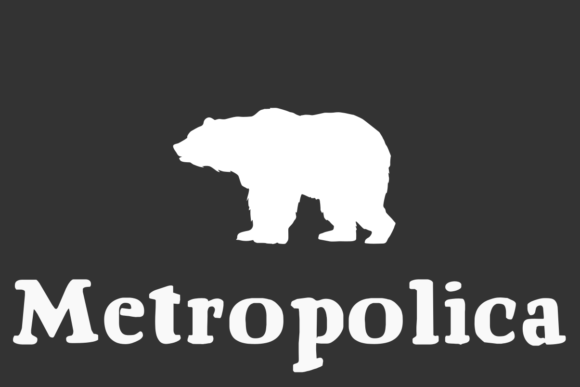 How Metropolica Transformed My Brand’s Visual Identity